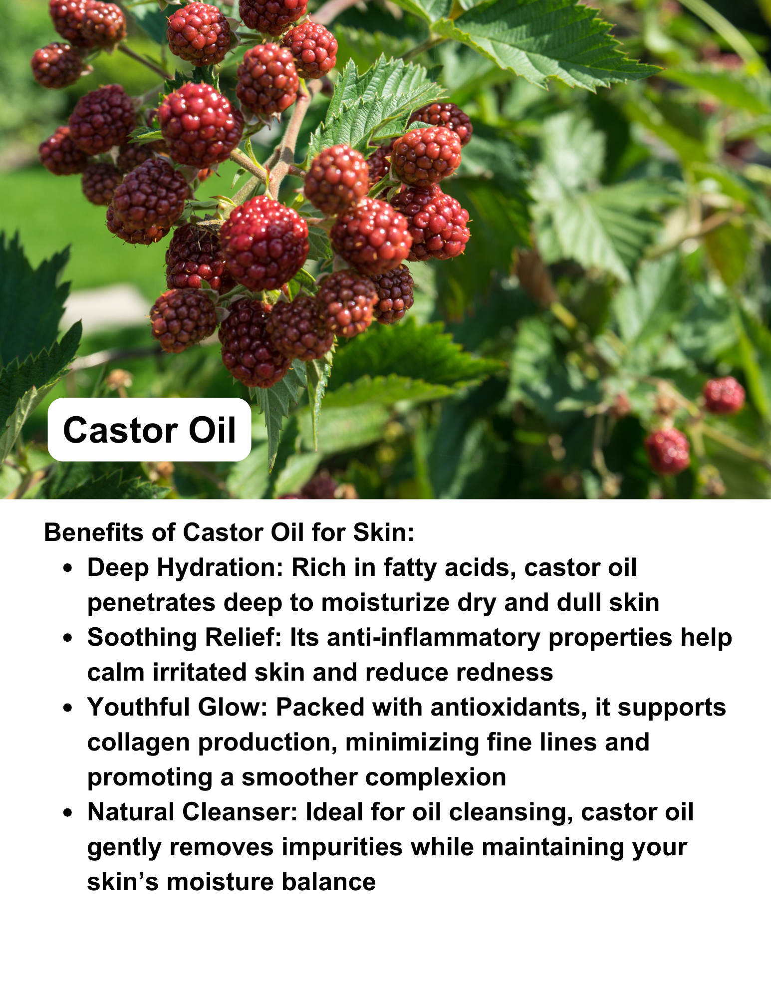 Body Bath & Hair Oil - 16 oz (Fragrance-Free)